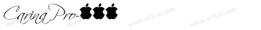 Carina Pro字体转换